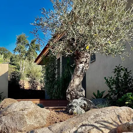 Eva, Vue Et Montagne, A Pieds Villa *