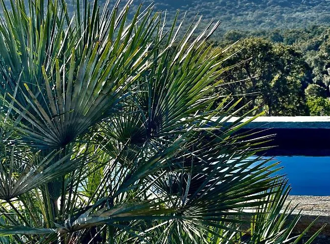 Villa Eva, Vue Et Montagne, à Pieds Sainte-Lucie de Porto-Vecchio