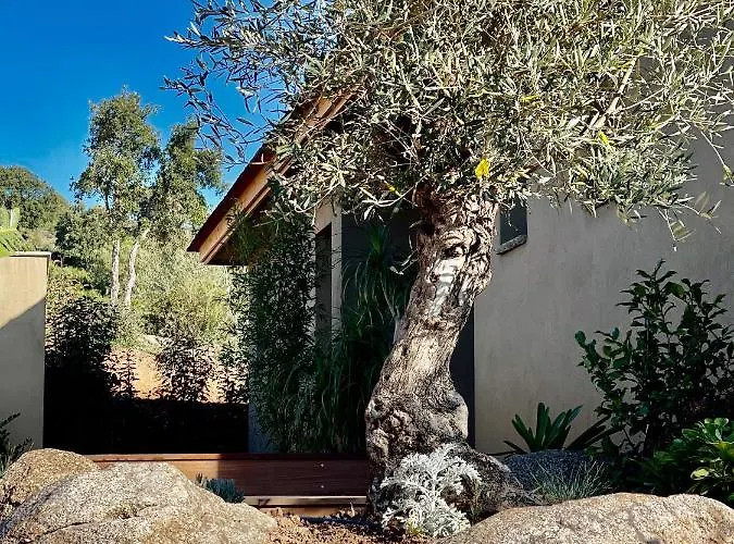 Eva, Vue Et Montagne, à Pieds Villa *