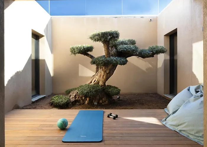 Eva, Vue Et Montagne, à Pieds